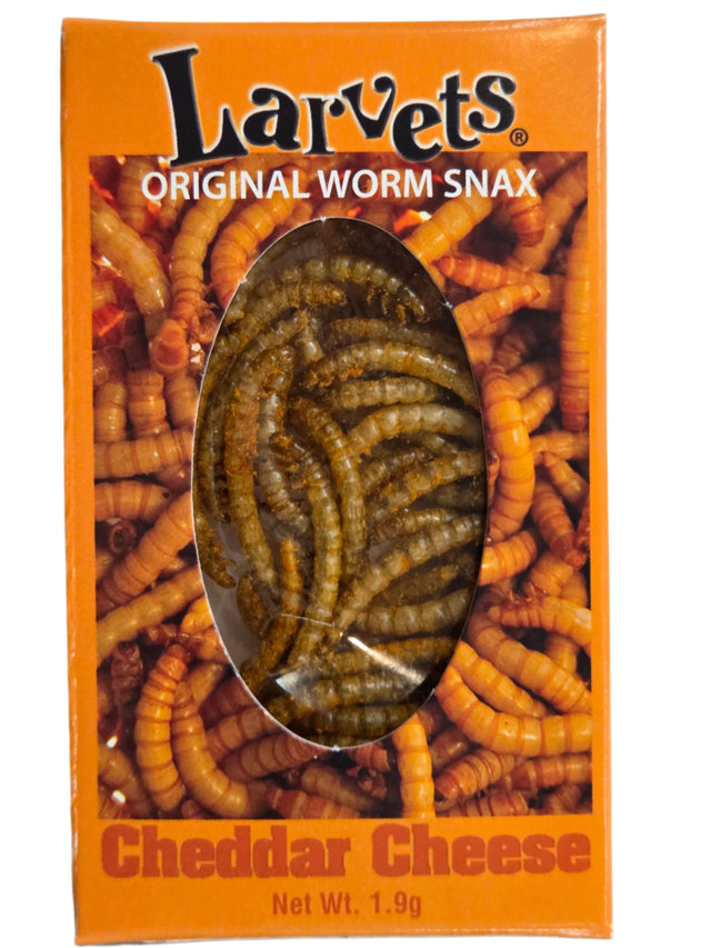Hotlix Larvets Cheddar Cheese Flavor
