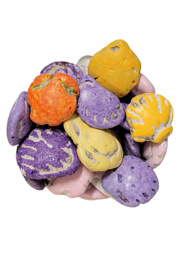 Sea Shells Chocolate