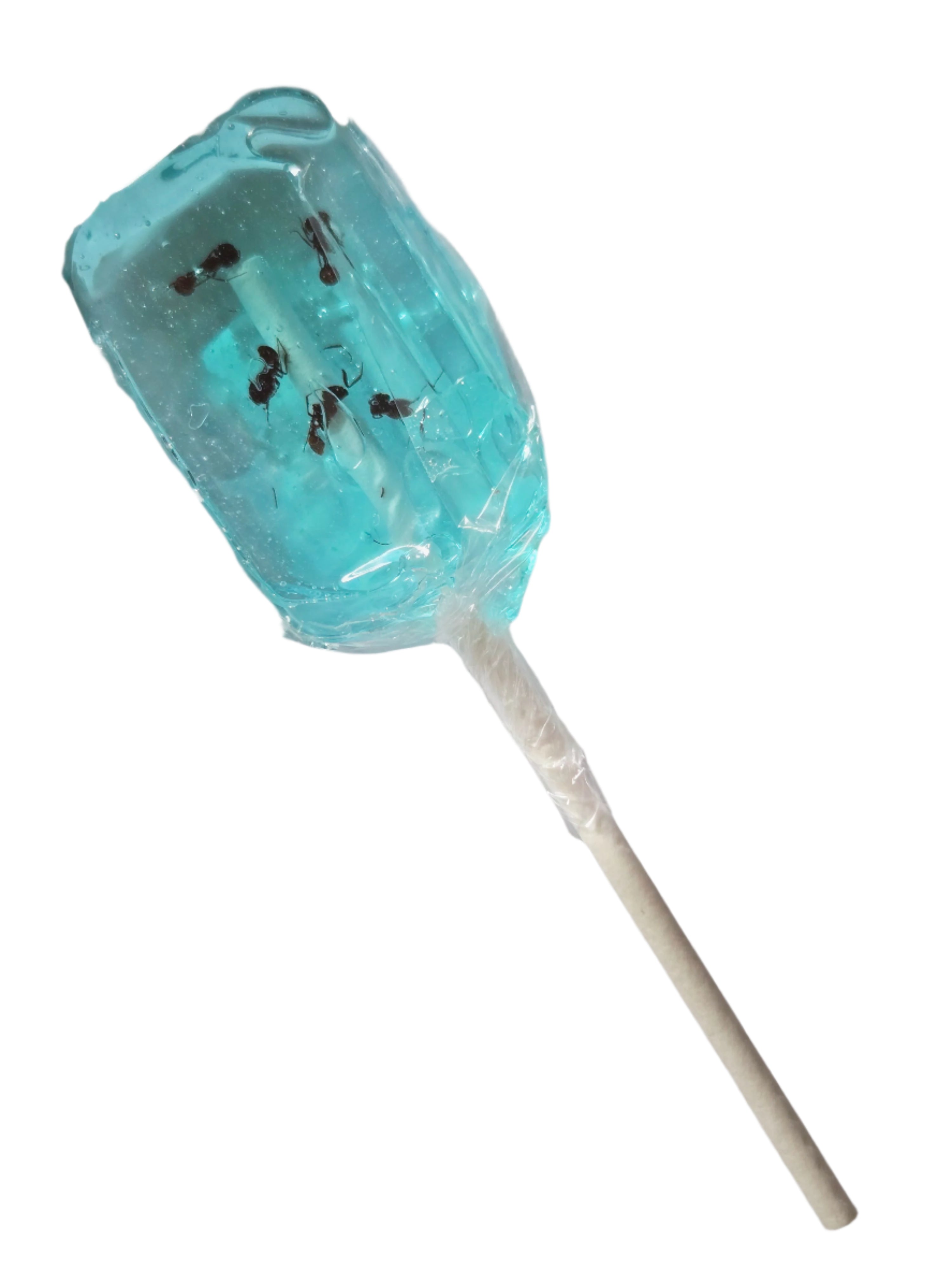HotLix Ant Blueberry Sucker – 2 Kids Candy Store