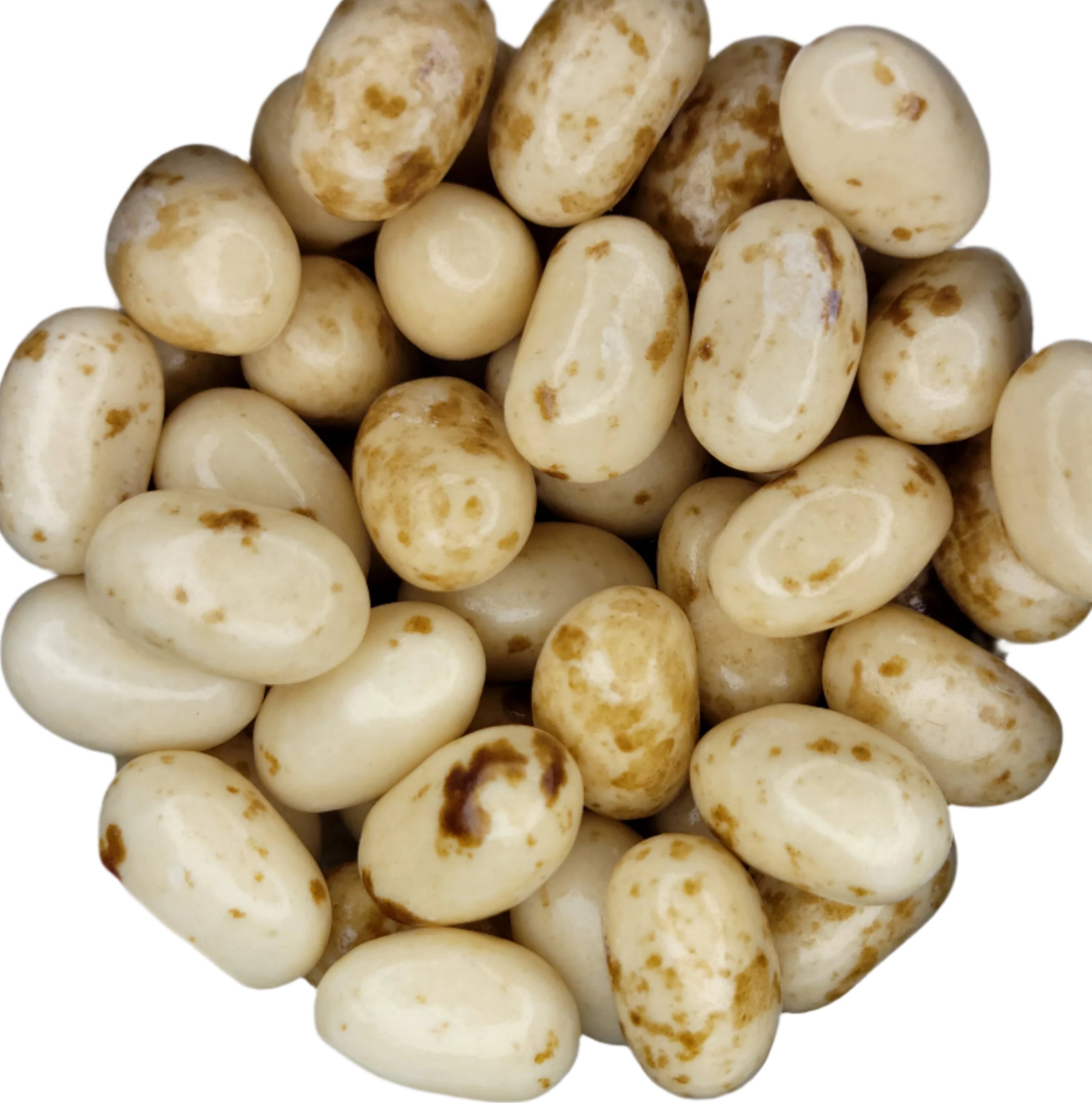 Cream-colored Jelly Belly Toasted Marshmallow jelly beans with brown speckles
