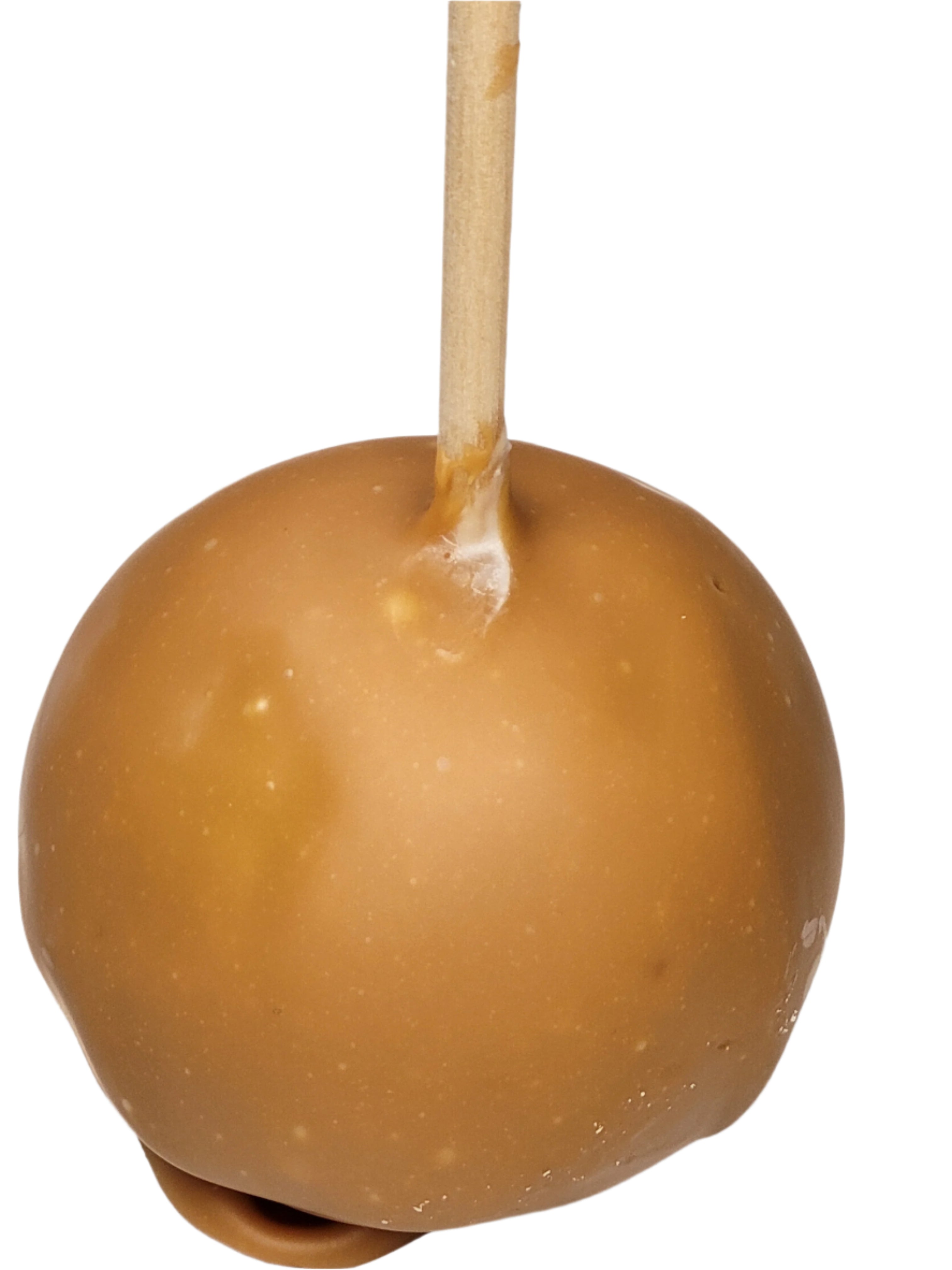 Smooth glossy Apple Plain Jane Caramel apple on wooden stick