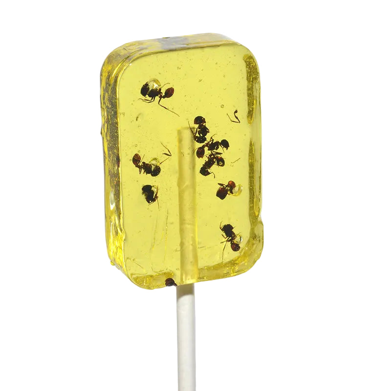 Translucent yellow HotLix Ant Banana Sucker lollipop with embedded black ants