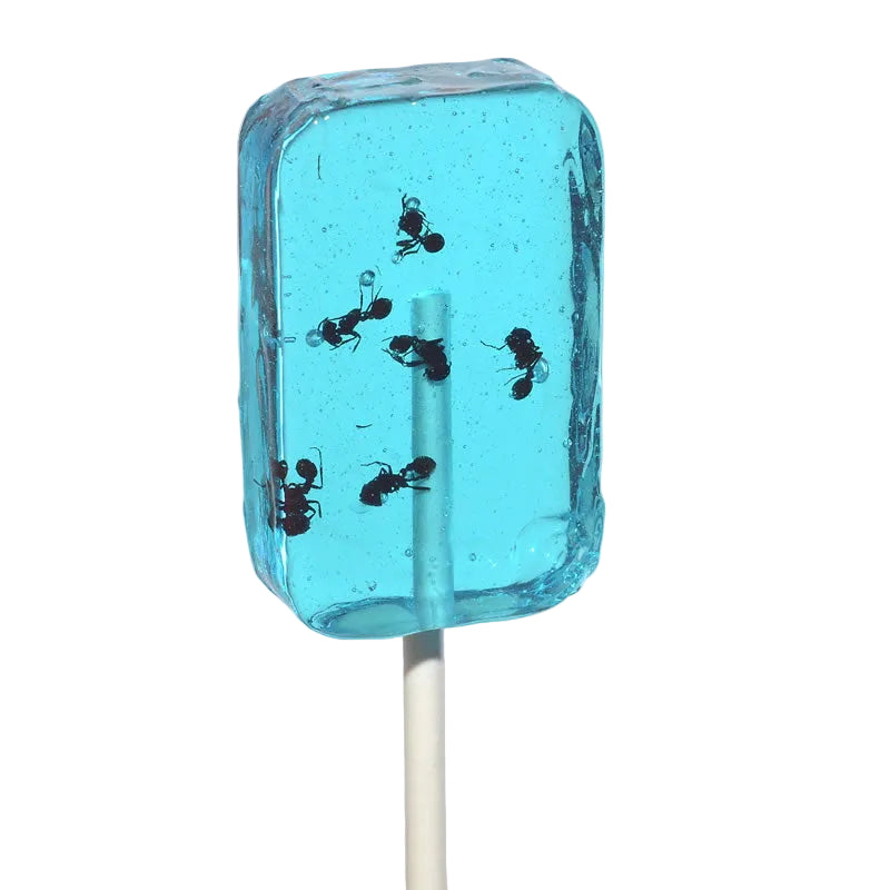 HotLix Ant Blueberry Sucker