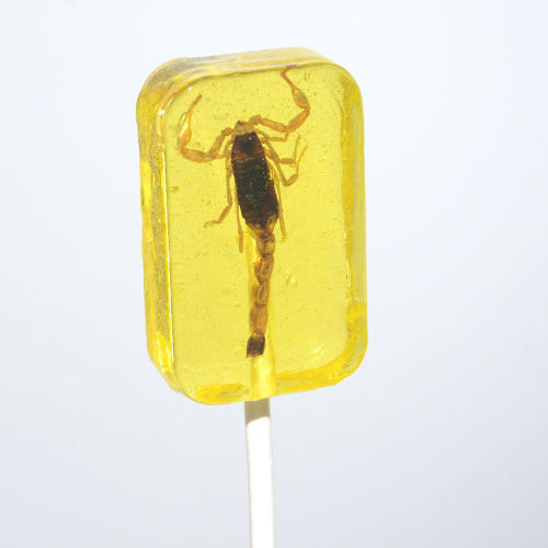 Translucent yellow banana lollipop with preserved scorpion center by Hotlix