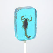 Translucent blue Hotlix Scorpion Sucker lollipop with preserved scorpion