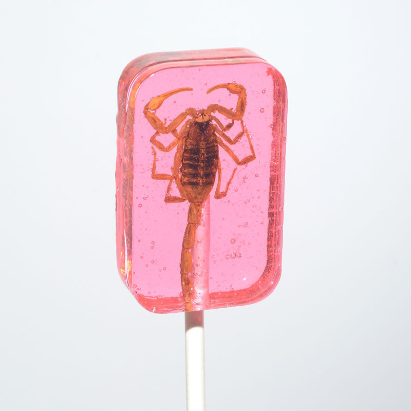 Translucent pink Hotlix Scorpion Sucker lollipop with amber scorpion inside
