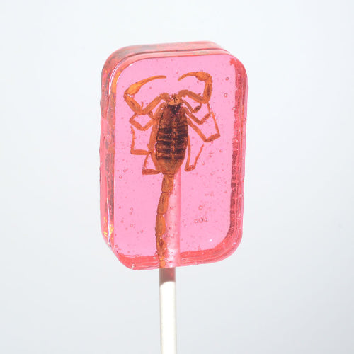 Translucent pink Hotlix Scorpion Sucker lollipop with amber scorpion inside