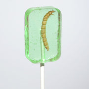 Translucent green apple Hotlix Worm Sucker lollipop with real worm inside