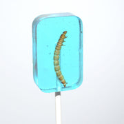 Translucent turquoise Hotlix Worm Sucker lollipop with realistic blueberry worm