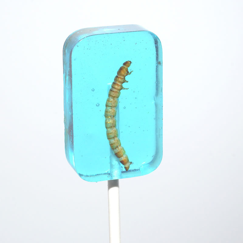 Translucent turquoise Hotlix Worm Sucker lollipop with realistic blueberry worm