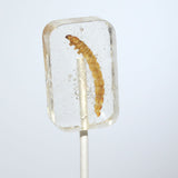 HOTLIX Worm Sucker Tequlia