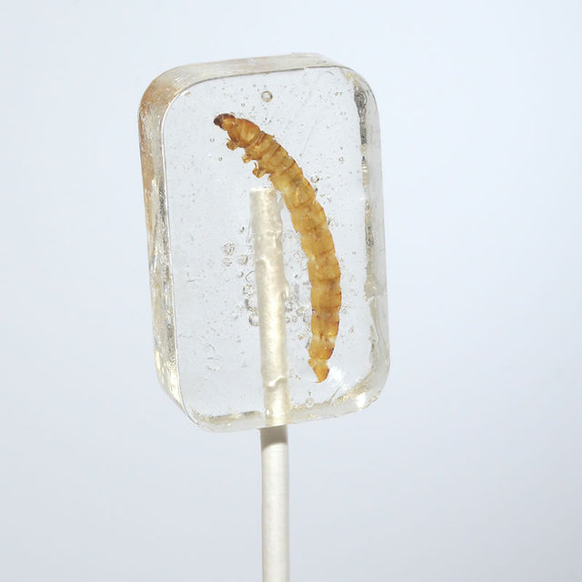 HOTLIX Worm Sucker Tequlia