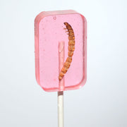 Pink translucent watermelon lollipop with real worm inside - Hotlix Worm Sucker