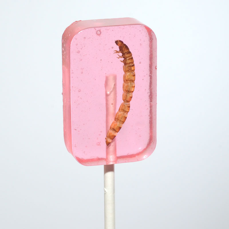 Pink translucent watermelon lollipop with real worm inside - Hotlix Worm Sucker